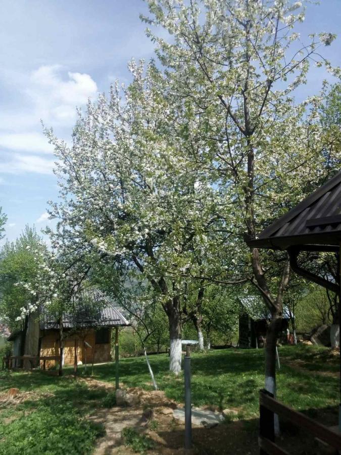 Bungalows Old Town Visoko Exteriér fotografie